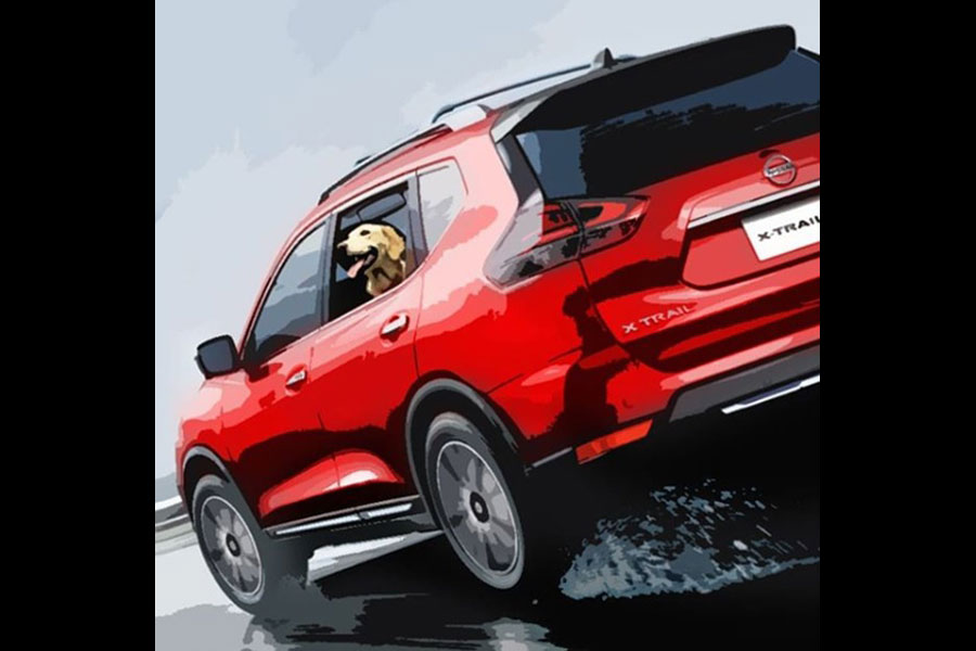 Nissan X-Trail mascotas